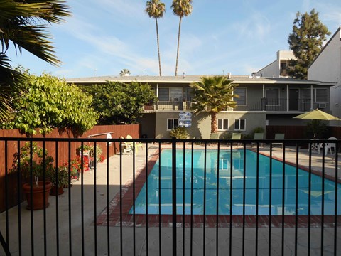 a view of the pool at the ace hotel