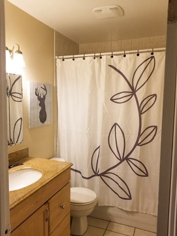 396 Tragina Avenue North 3 Beds Apartment for Rent - Photo Gallery 4
