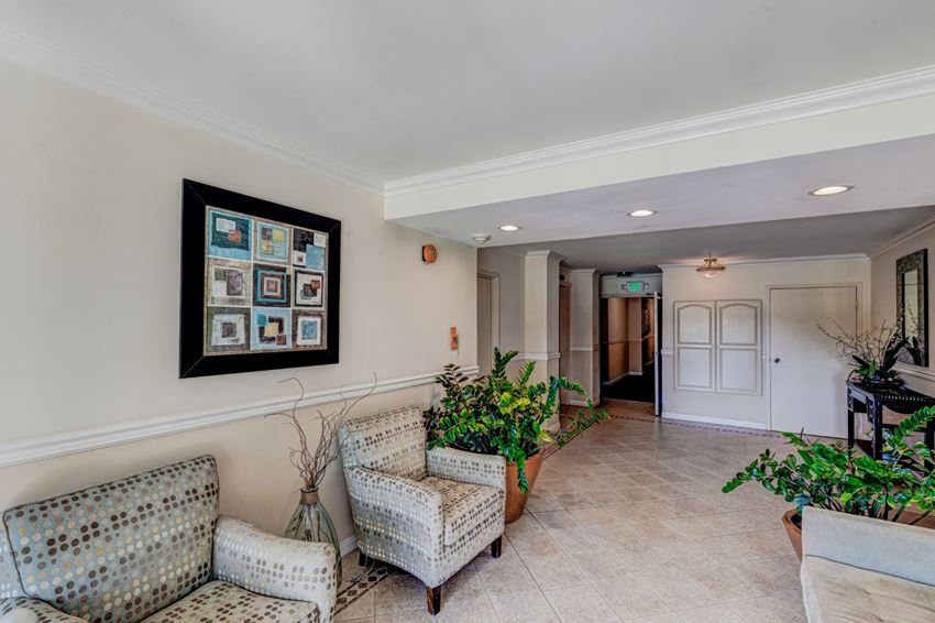 307 Montana Ave. Studio-2 Beds Apartment for Rent - Photo Gallery