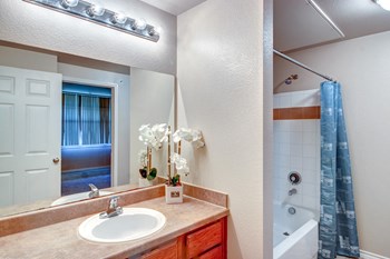 Rosemont at Mayfield Villas Apartments Bathroom Sink and Shower - Photo Gallery 9