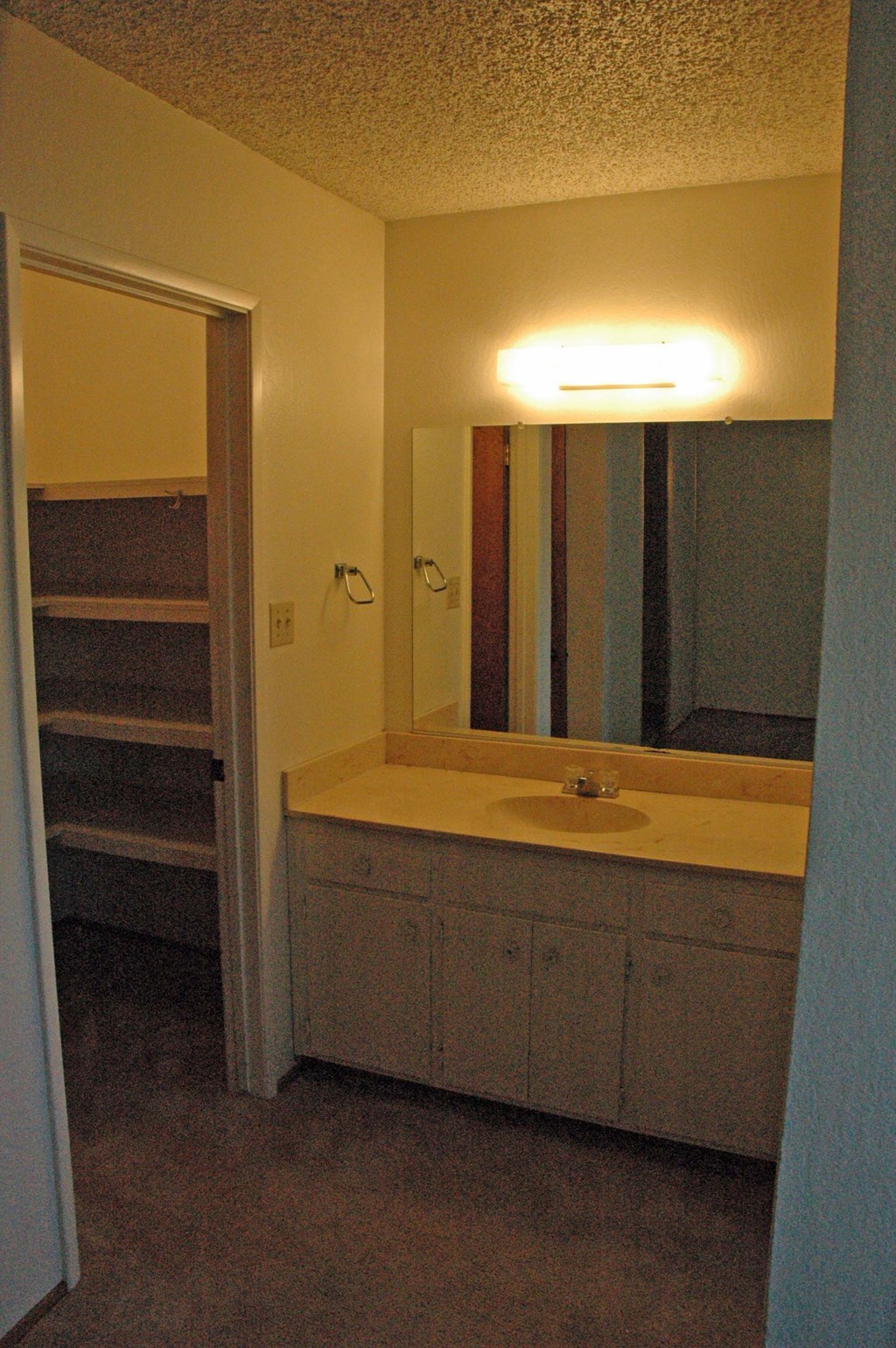 a bathroom with a sink and a mirror and a closet