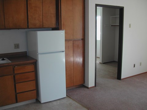 101 W. Locust St. Studio-1 Bed Apartment for Rent - Photo Gallery 24