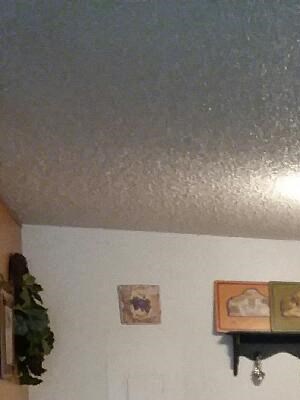 Dining Area Dining Area Photo