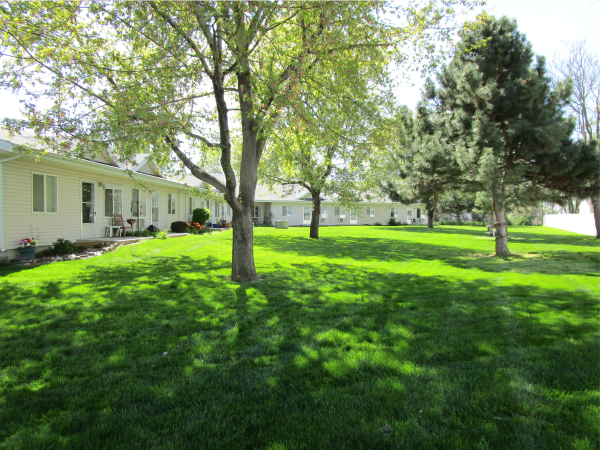 Louise Garden Common Yard