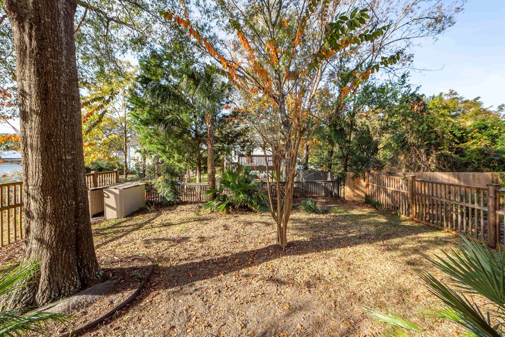 A backyard with a tree and a fence.