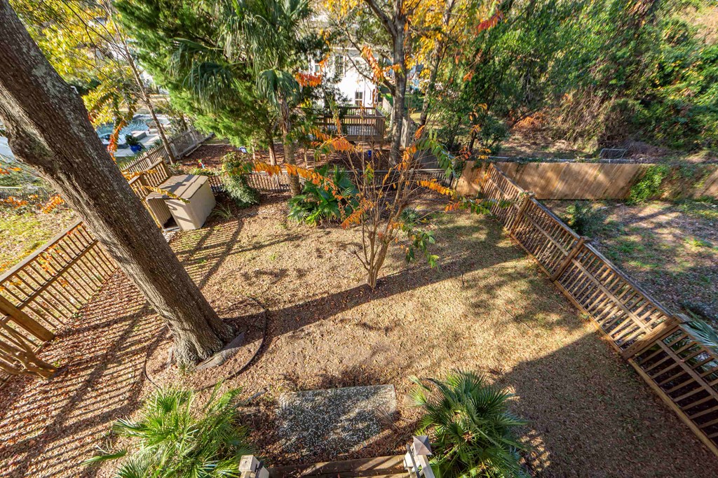 A backyard with a tree, a fence, and a small tree with orange leaves.