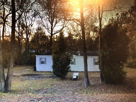 A house is surrounded by trees and bushes in a field.