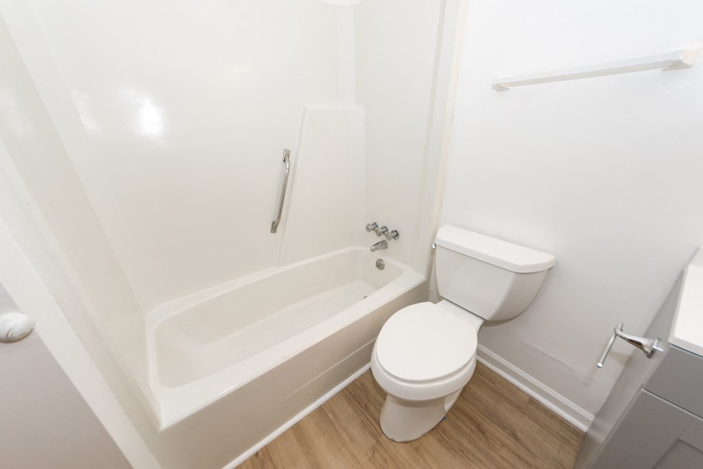 a bathroom with a toilet and a bath tub