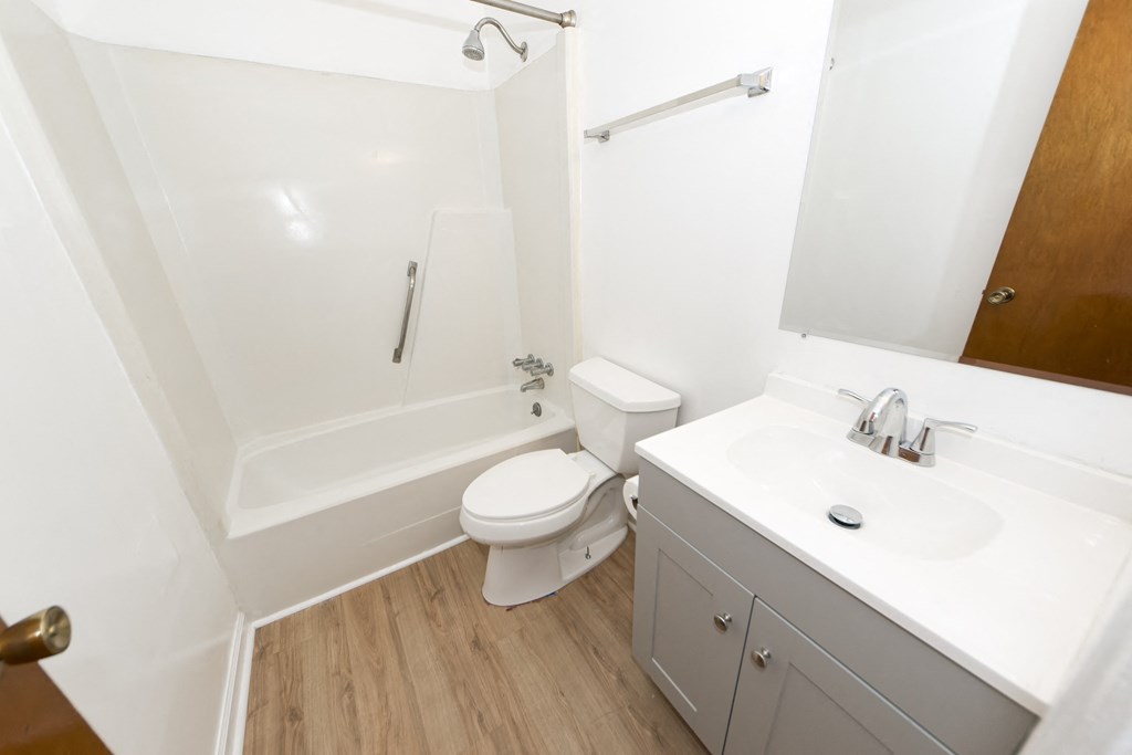 a bathroom with a sink and a toilet and a bath tub