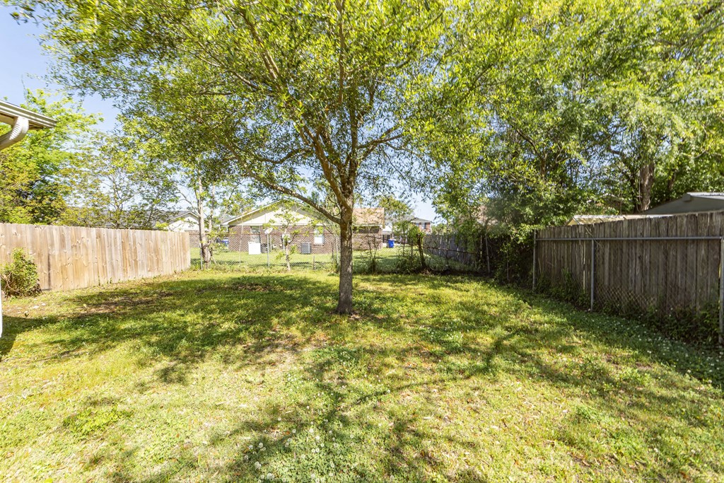 a backyard with a tree and a wooden fence