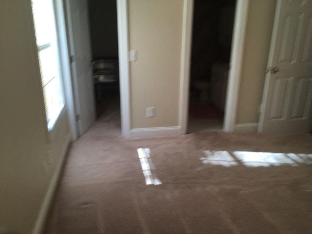 A room with a brown carpet and a white line painted on it.