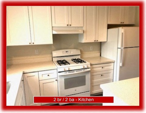 a kitchen with a stove and a refrigerator