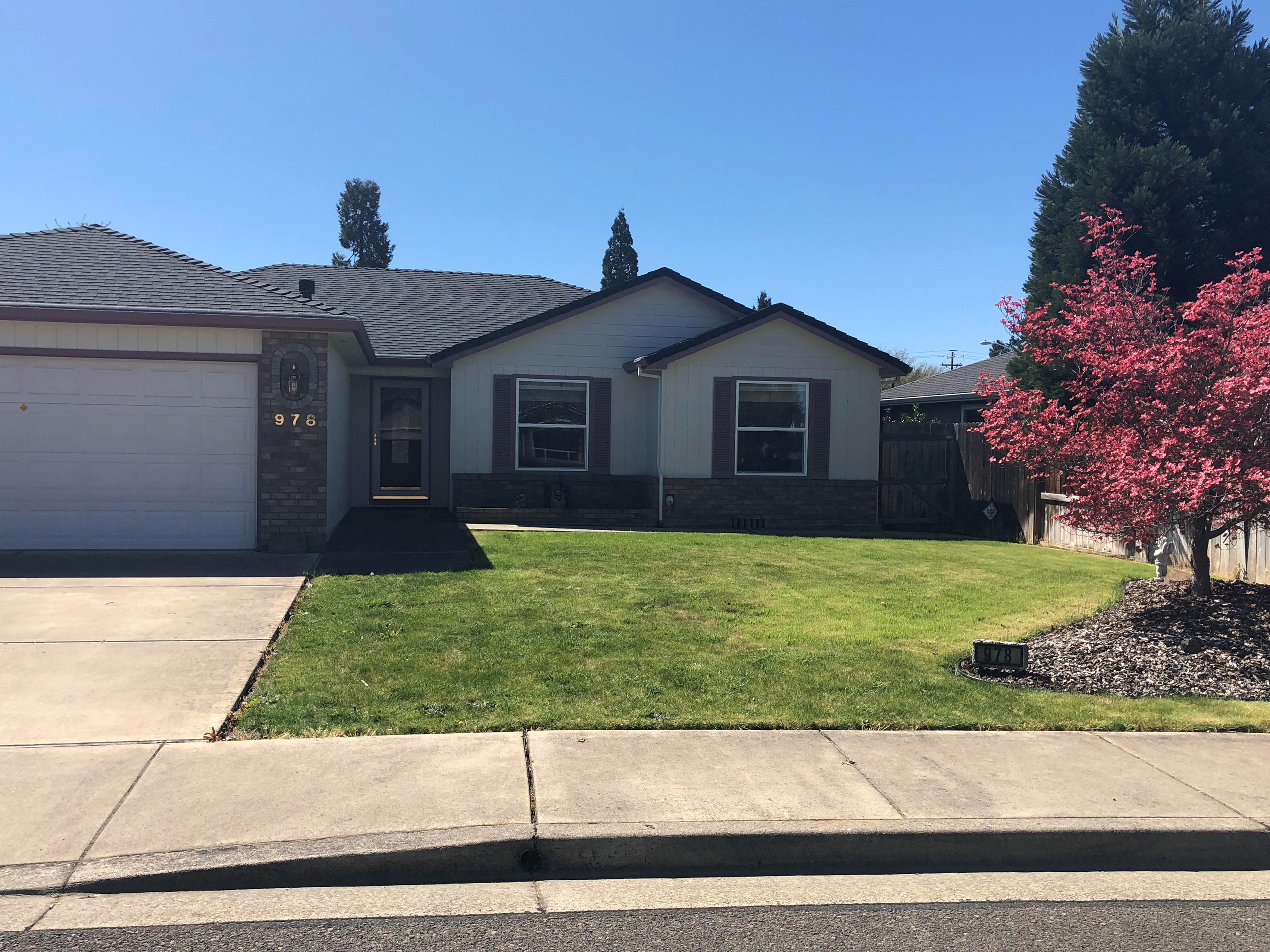 houses for rent that allow large dogs