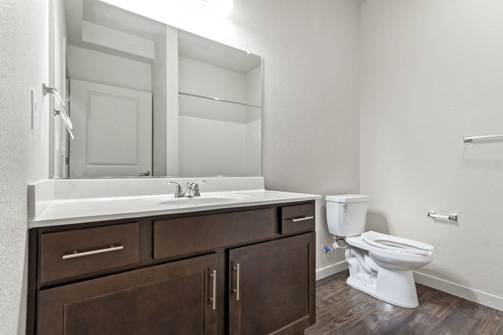 a bathroom with a sink and a toilet and a mirror