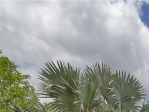 Photos and Video of Horizon at Miramar in Miramar, FL