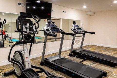 a row of treadmills in a gym with a tv on the wall