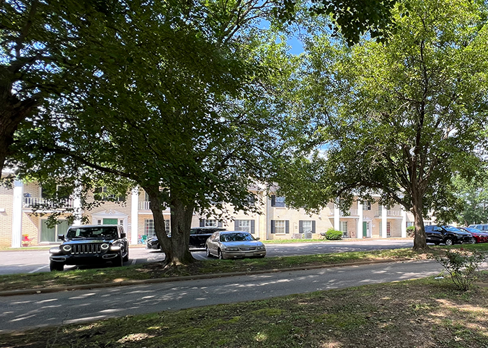 a street with cars parked in front of trees