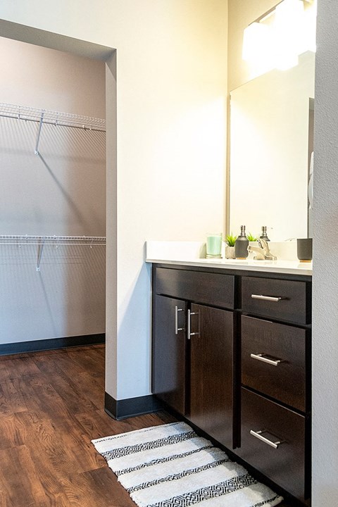 a bathroom with a sink and a shower and a mirror