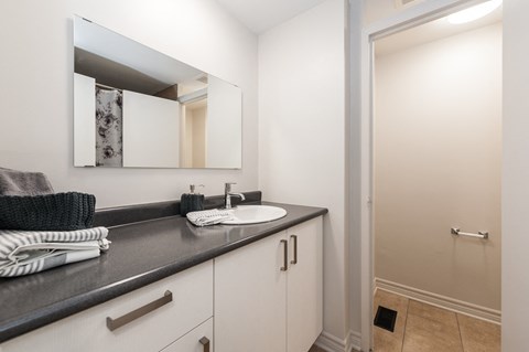 a bathroom with a sink and a mirror and a shower