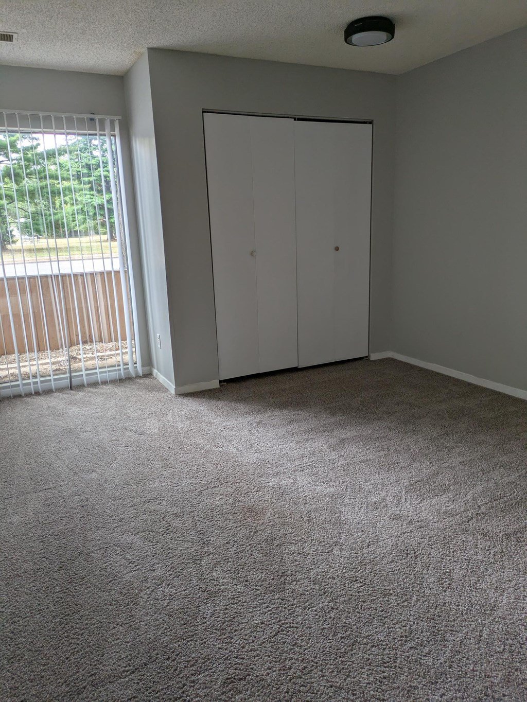 A room with a carpeted floor and a white closet.