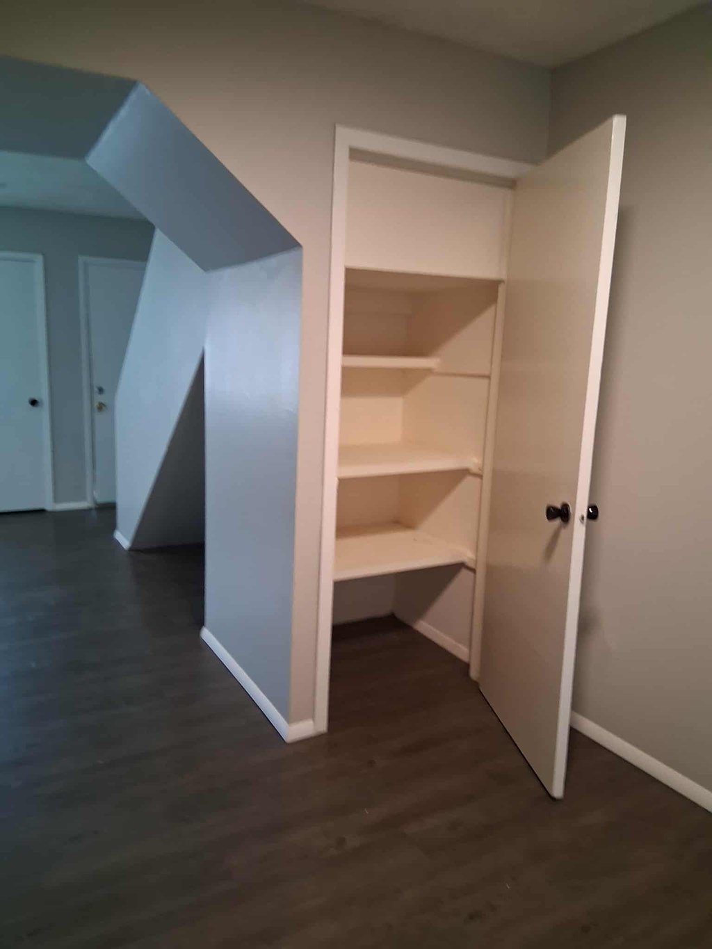 A white closet with shelves is open in a room with wood floors.