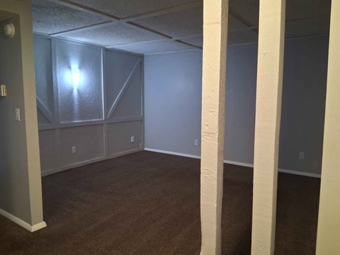 A room with a carpeted floor and a window covered with frosted glass.