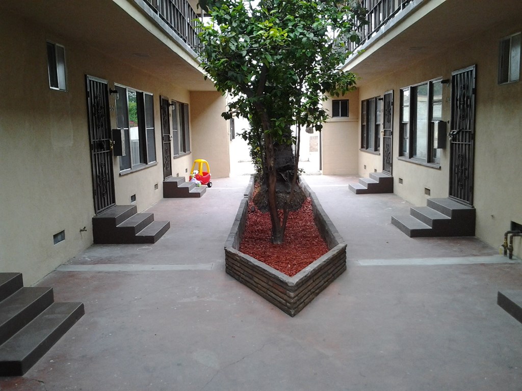 a courtyard with a tree in the middle of a building