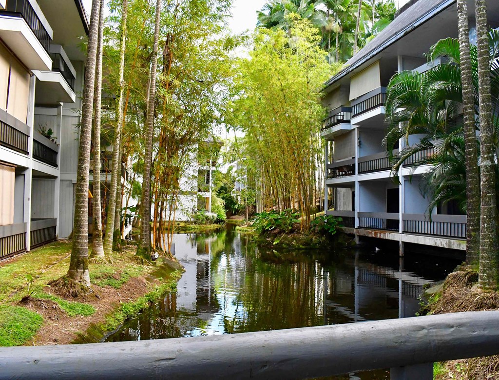 a canal next to a building with palm trees