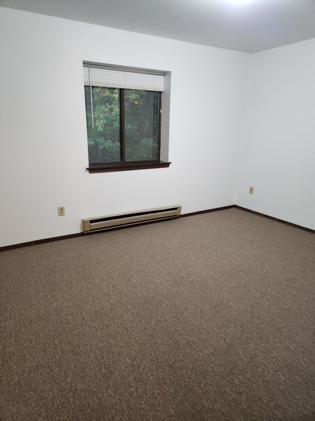 an empty room with a window and a carpet