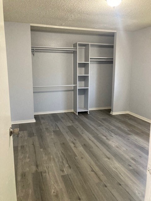 A room with grey wood flooring and a grey wall with a closet.
