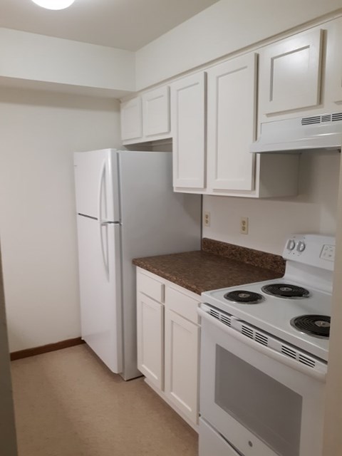 A white refrigerator and stove in a kitchen.