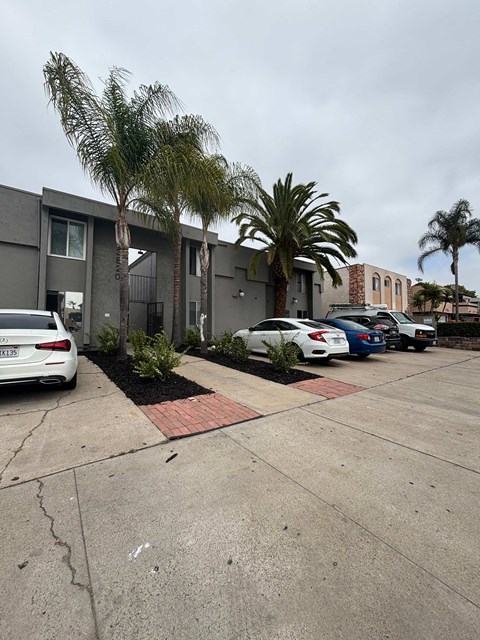 A parking lot with cars and palm trees in front of a building.