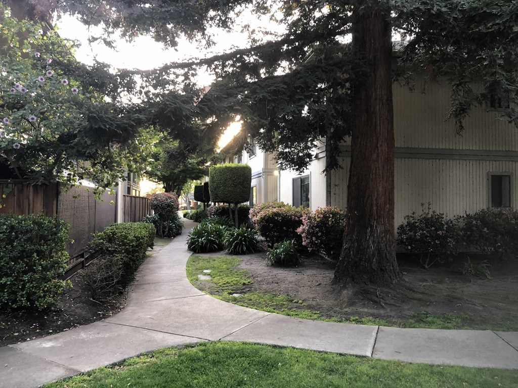 a sidewalk in front of a building with a tree