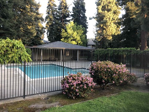 a swimming pool in a backyard behind a fence