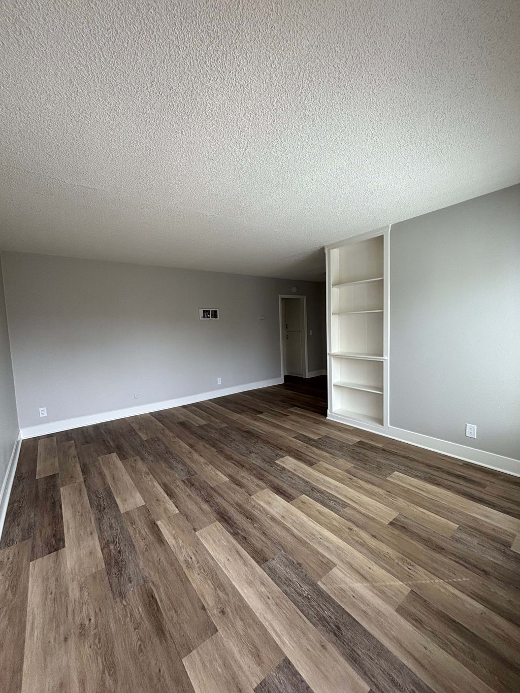 A room with a wood floor and a closet.