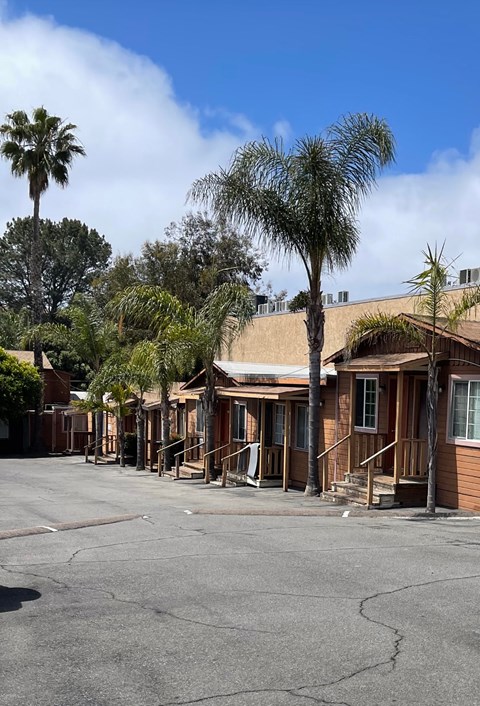 a row of small buildings with palm trees