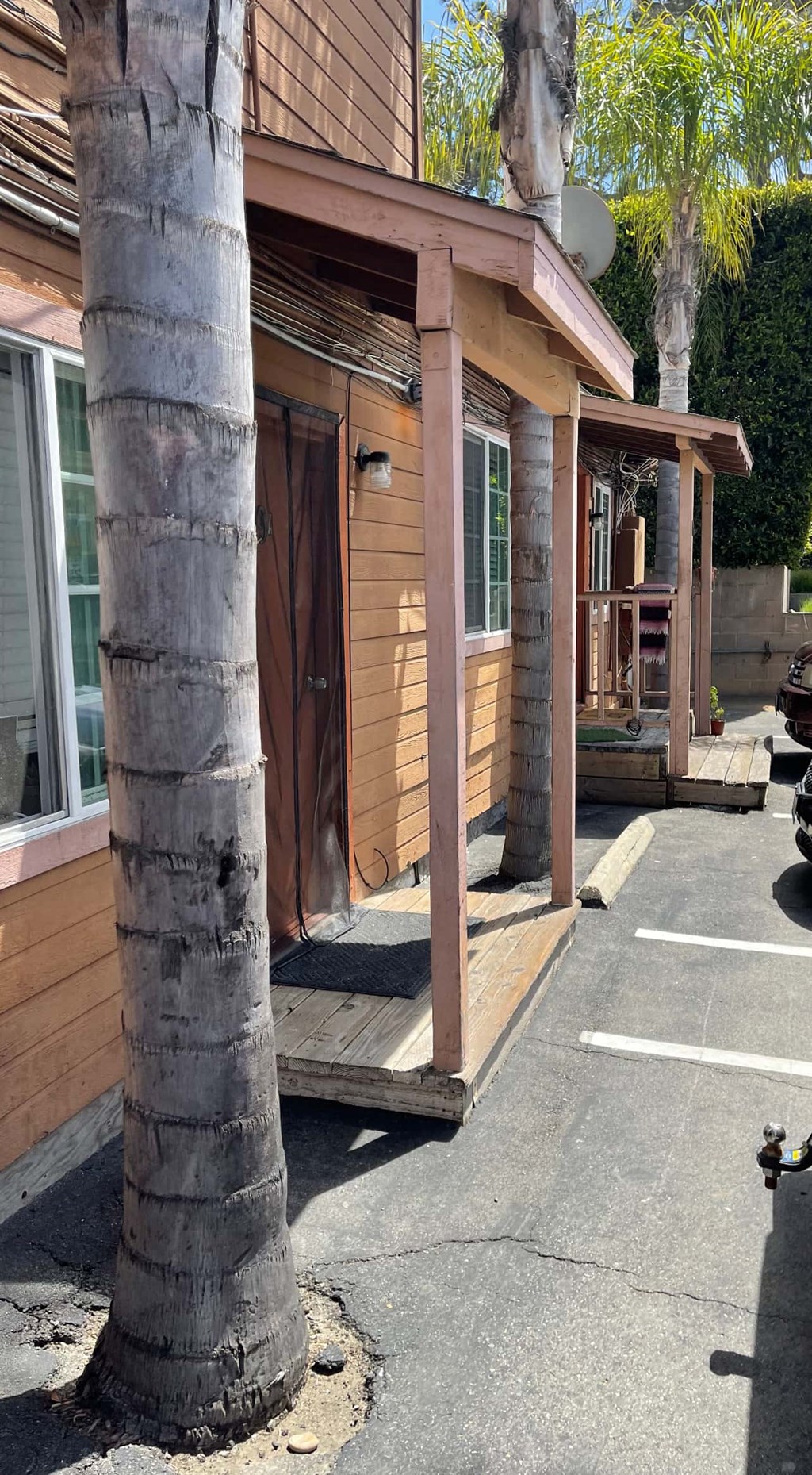 a building with a palm tree in front of it