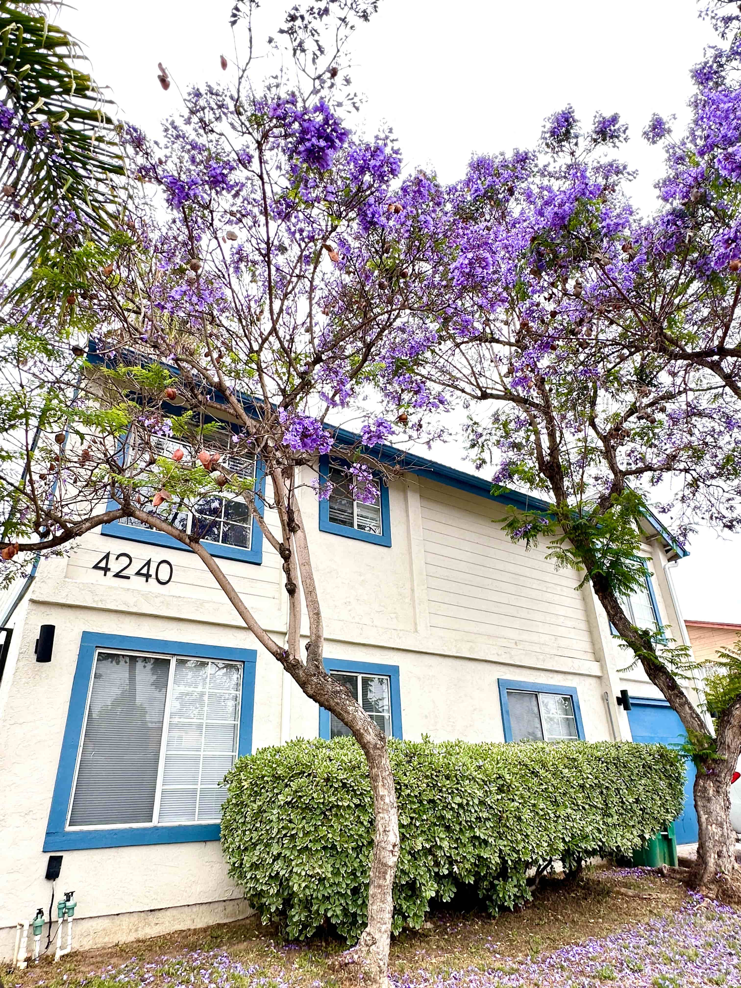 A house with the number 4240 on it.