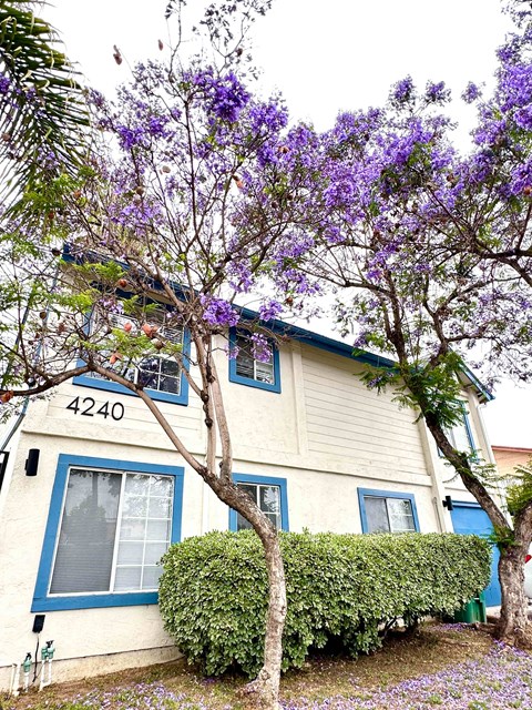 A house with the number 4240 on it.