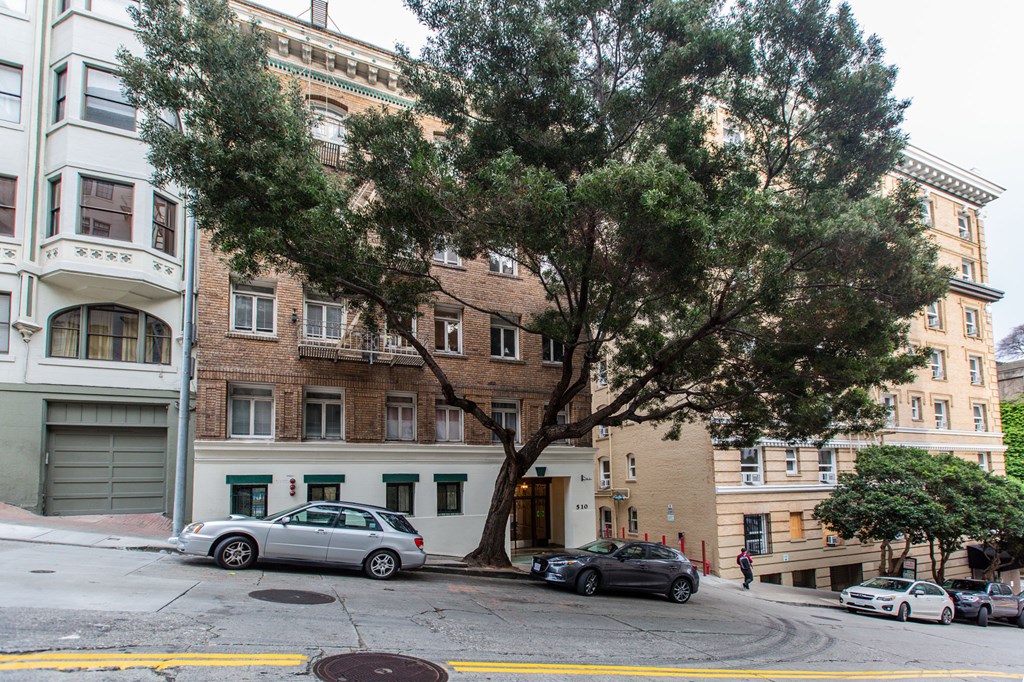 A tree in front of a building with a car parked on the side of the road.