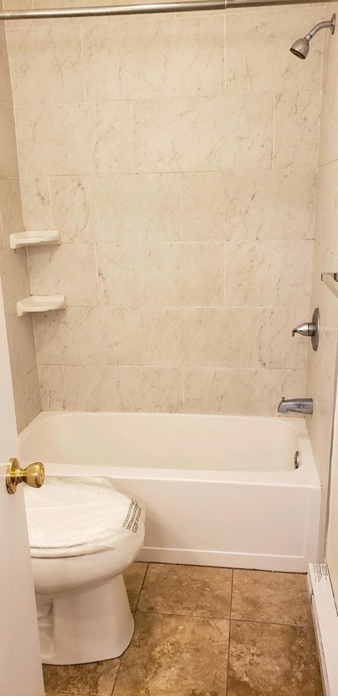 a bathroom with a toilet and a bath tub