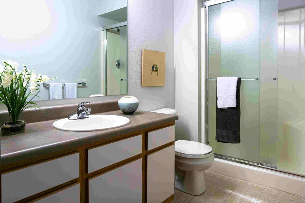 a bathroom with a sink toilet and a shower