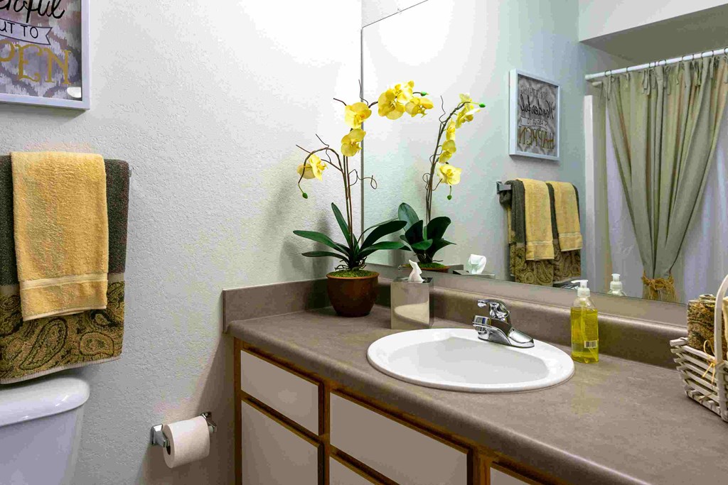 a bathroom with a sink and a mirror