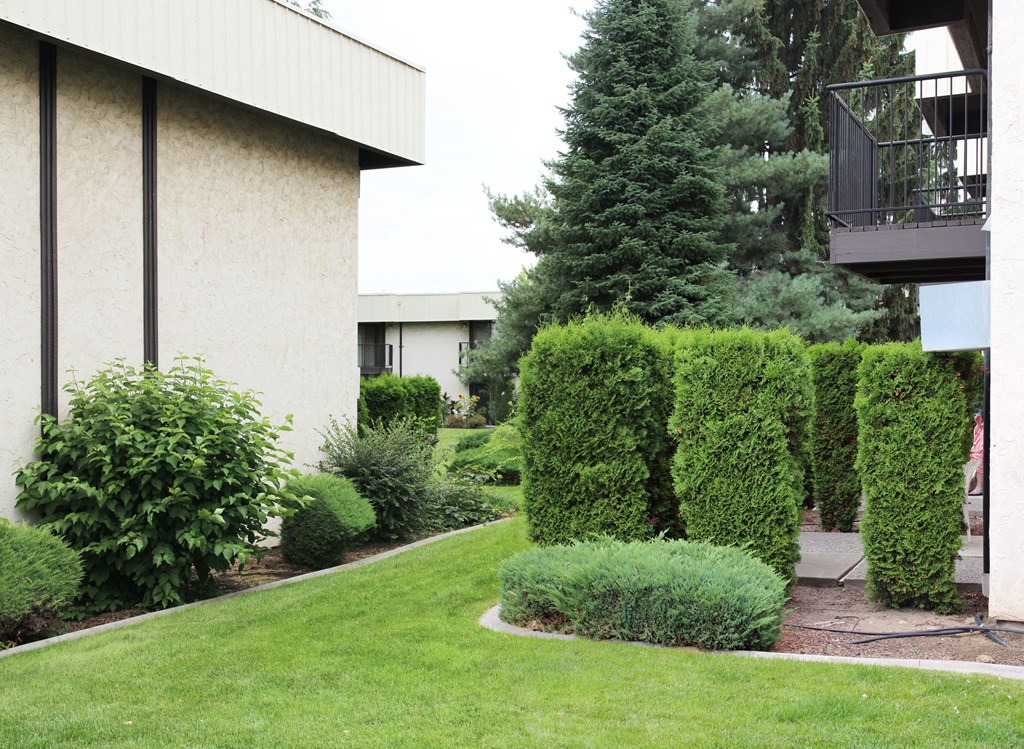 a yard in front of a building