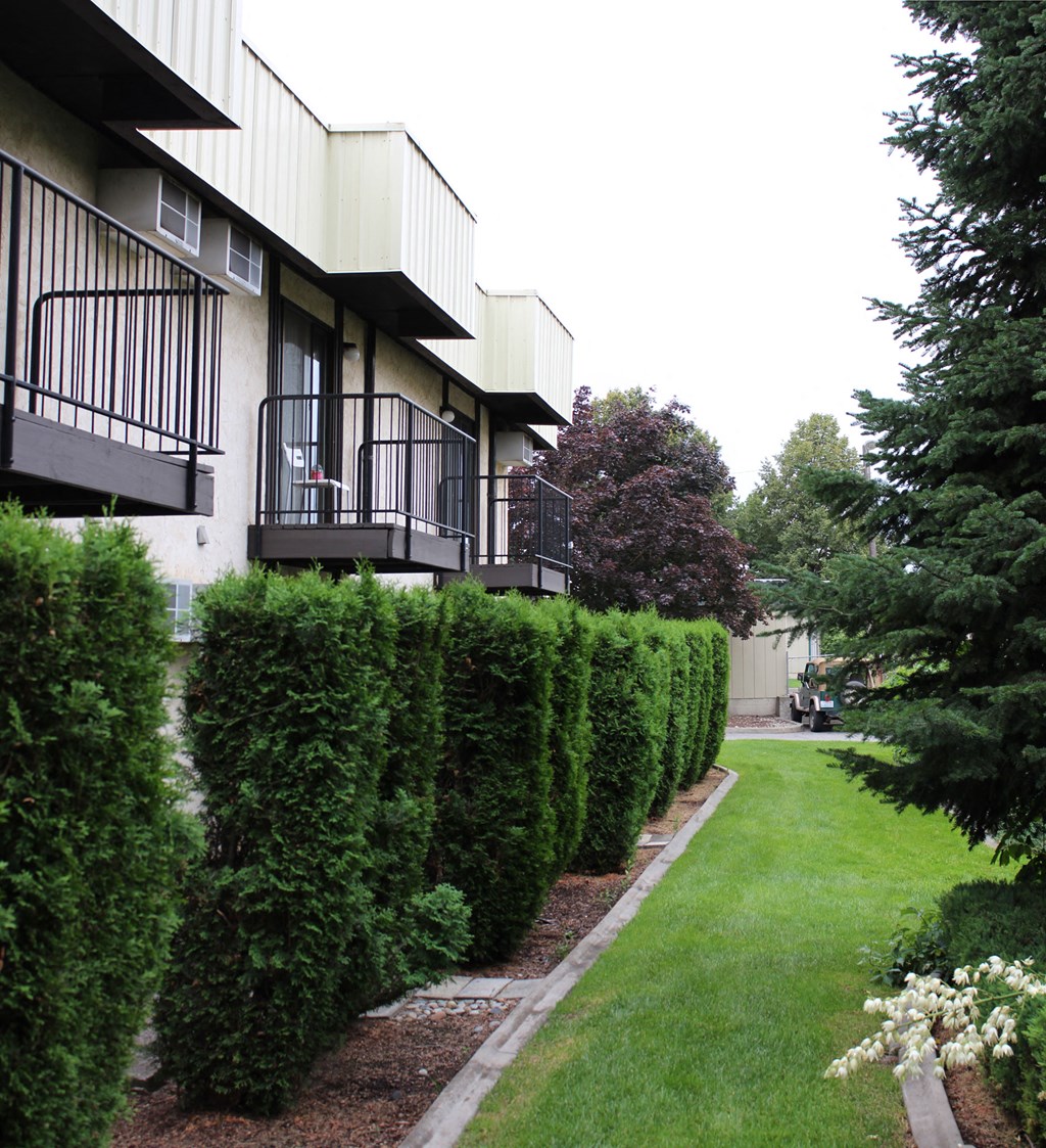 a row of hedges in front of an apartment building