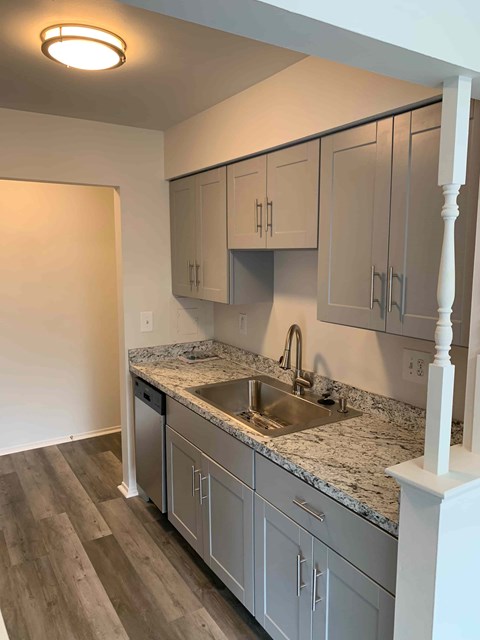 A kitchen with a sink and cabinets.