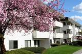 1-bedroom apartment at Colton Apartments in Spokane