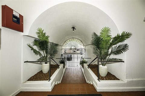 A long hallway with plants on either side.