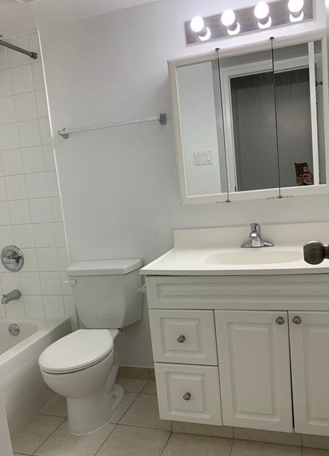 323 5 Avenue Northeast 1-2 Beds Apartment for Rent - Photo Gallery 4