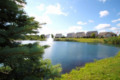 A lake surrounded by greenery and houses in the distance..